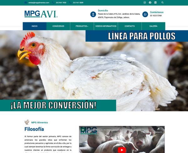 Páginas web México