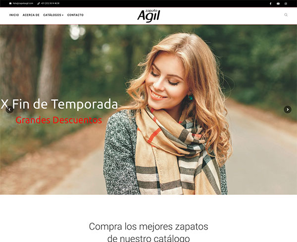 Web design in Guadalajara